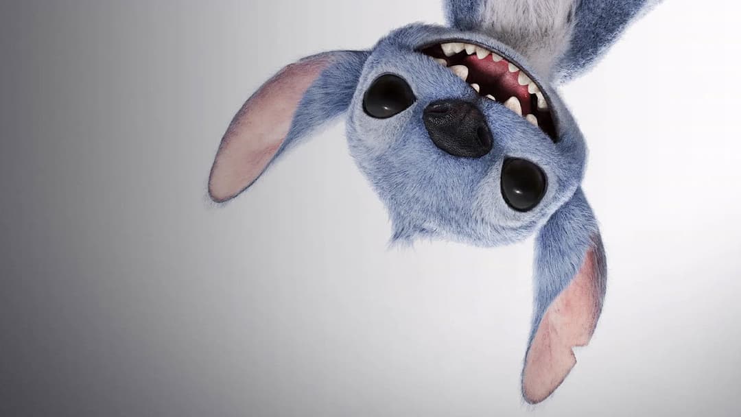 Lilo & Stitch backdrop 14