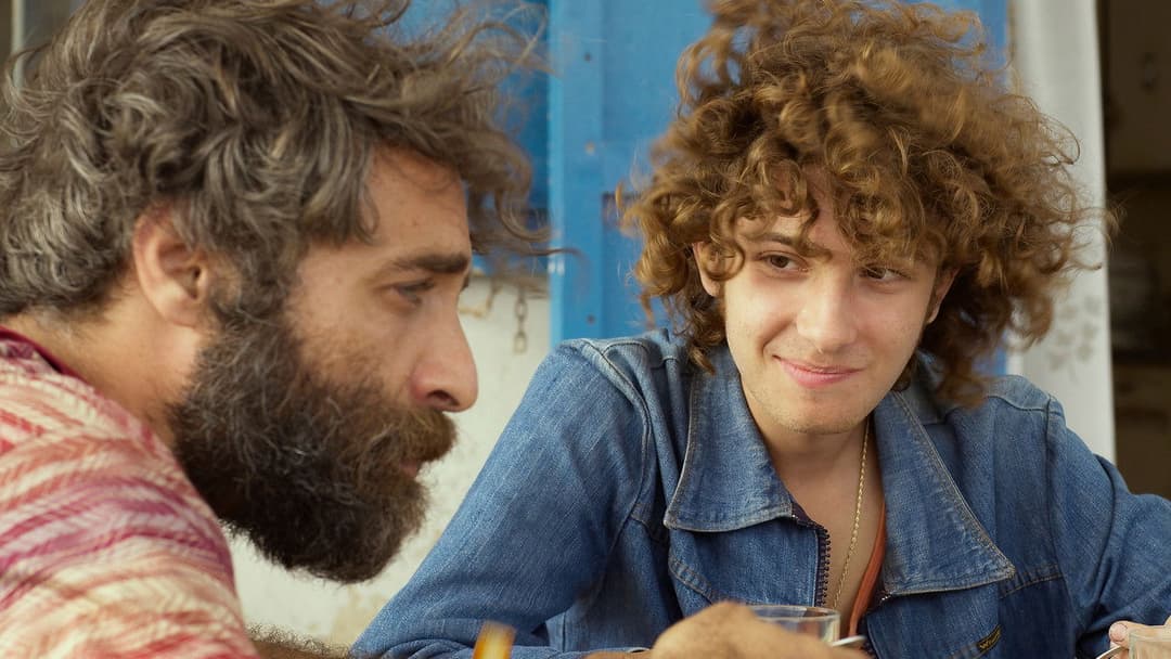 Fireworks backdrop 16