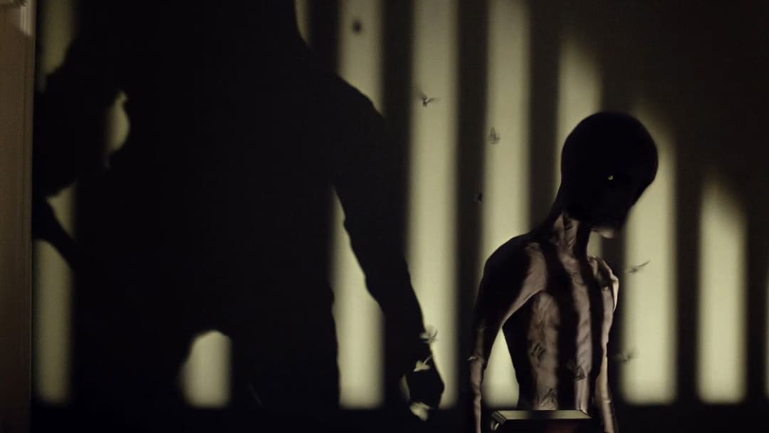 Сомнія backdrop 10