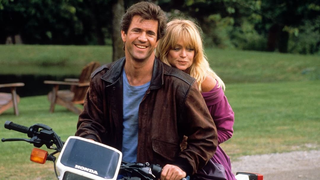 Ein Vogel auf dem Drahtseil backdrop 3