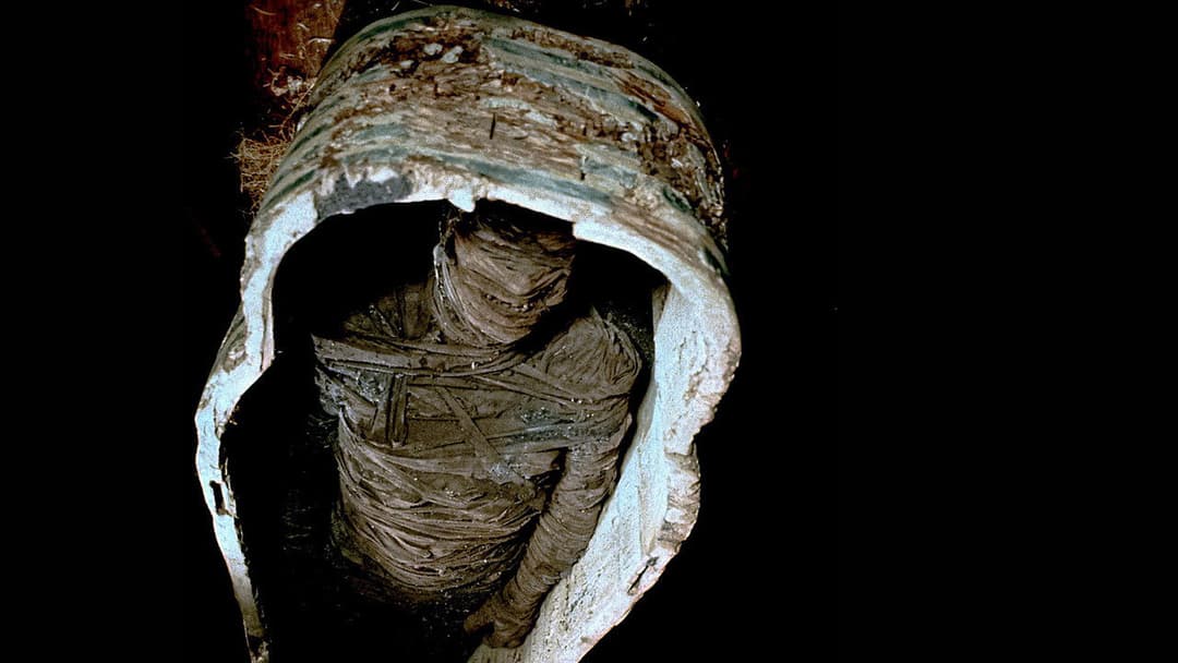 Geschichten aus der Schattenwelt backdrop 11