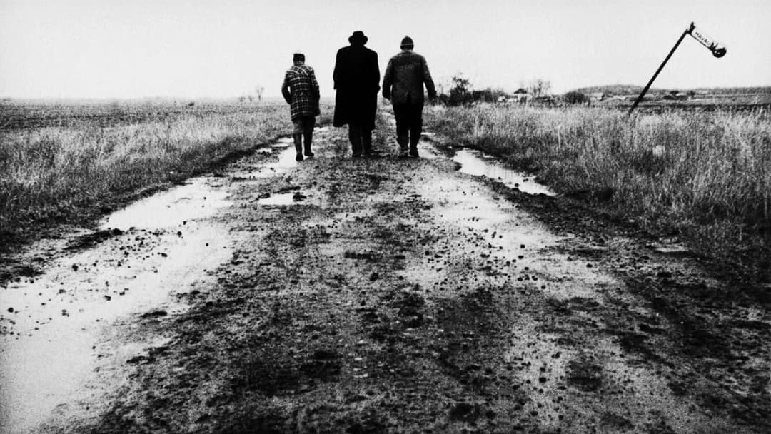 Sátántangó backdrop 7