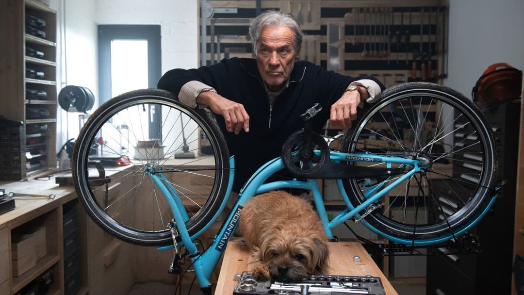 Ein fast perfekter Antrag backdrop 1