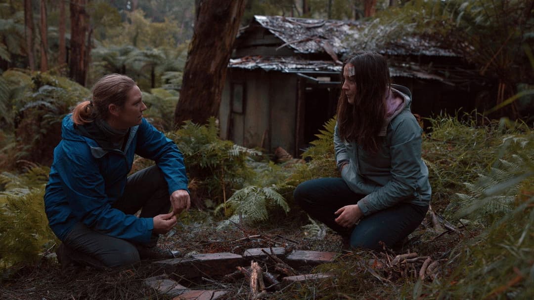 Force of Nature: The Dry 2 backdrop 17