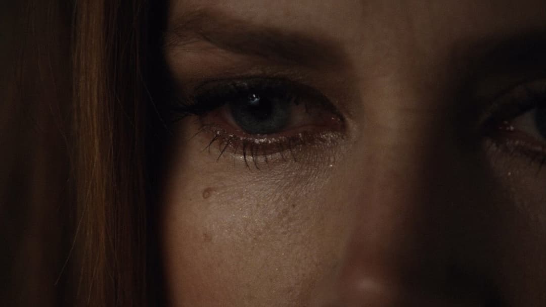 Nocturnal Animals backdrop 3