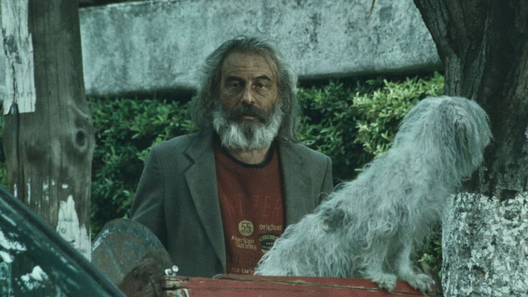 Сука любов backdrop 13