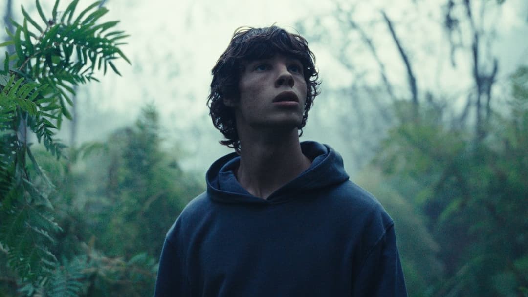 Королівство тварин backdrop 15