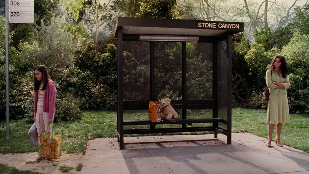 Spanglish backdrop 3