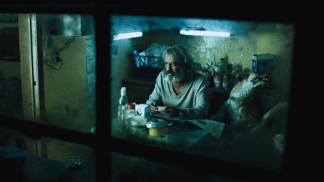 Сука любов backdrop 11