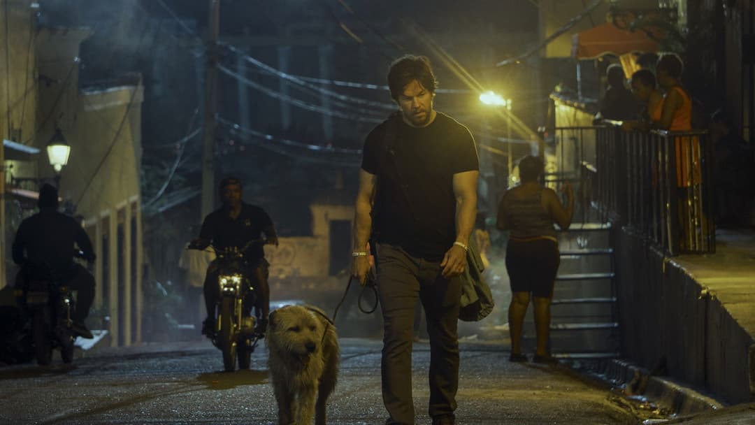 Артур, ти король backdrop 17