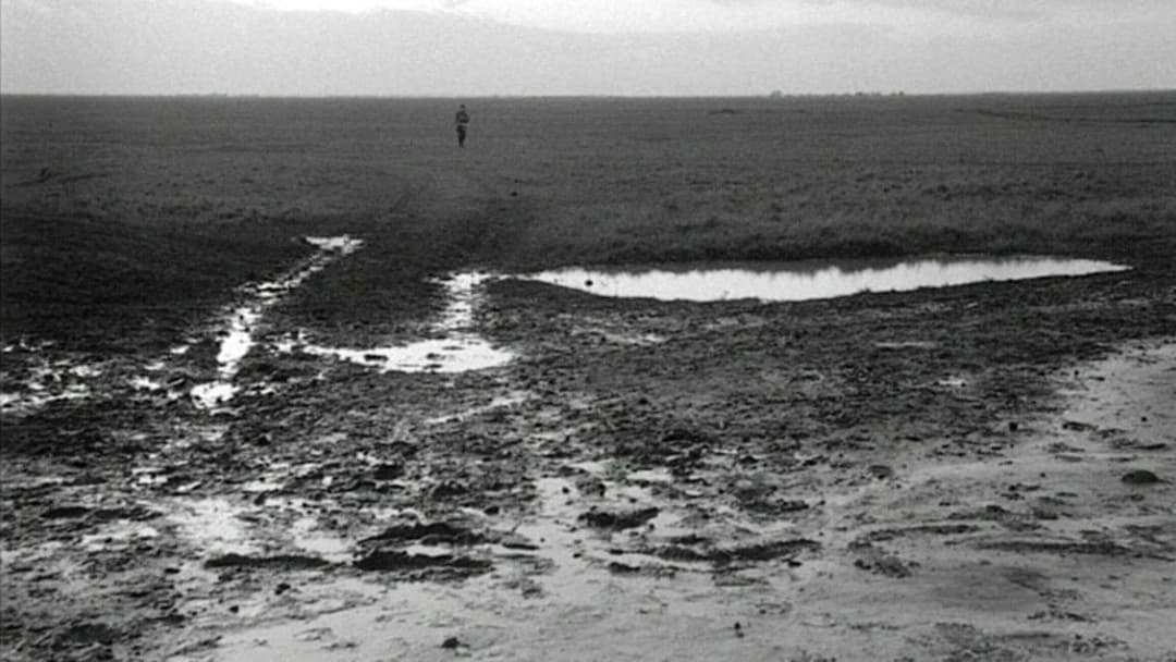 Sátántangó backdrop 10