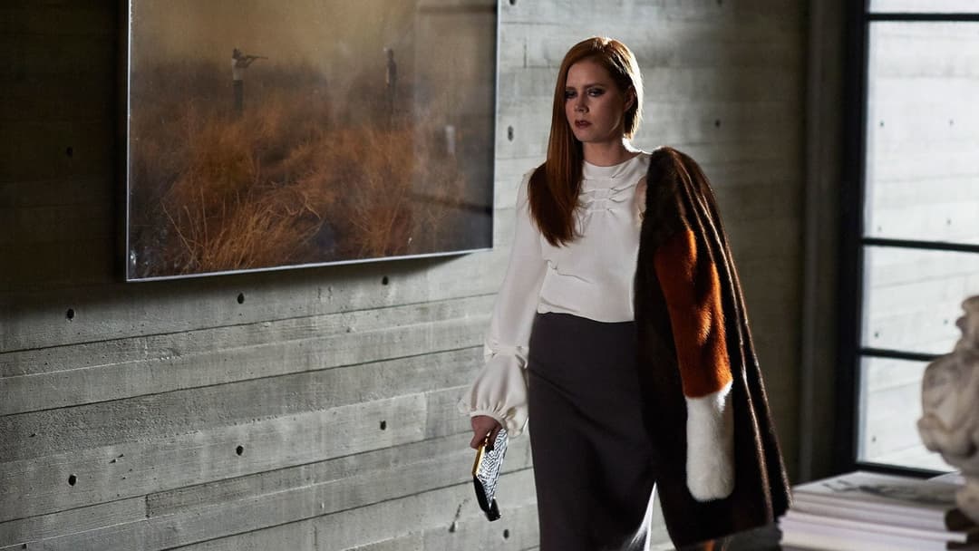Nocturnal Animals backdrop 4