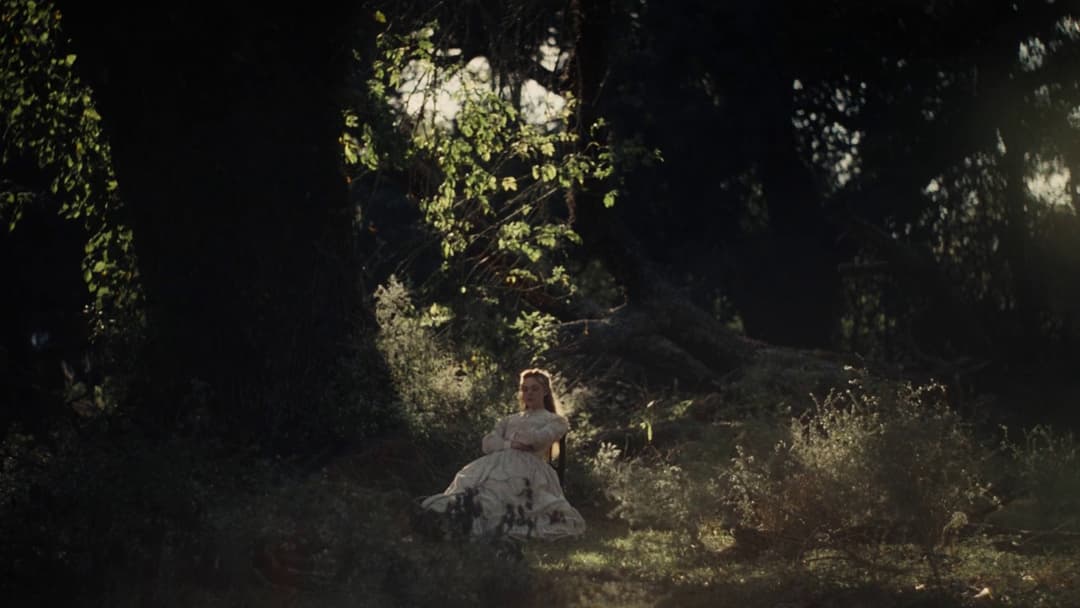 The Beguiled backdrop 14