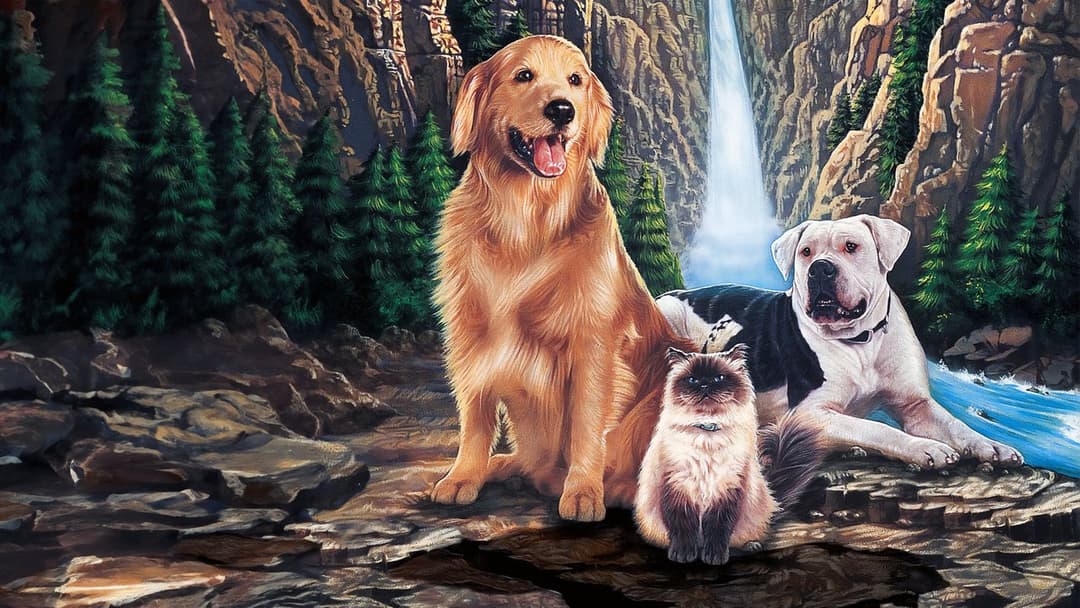 Homeward Bound: The Incredible Journey backdrop 13