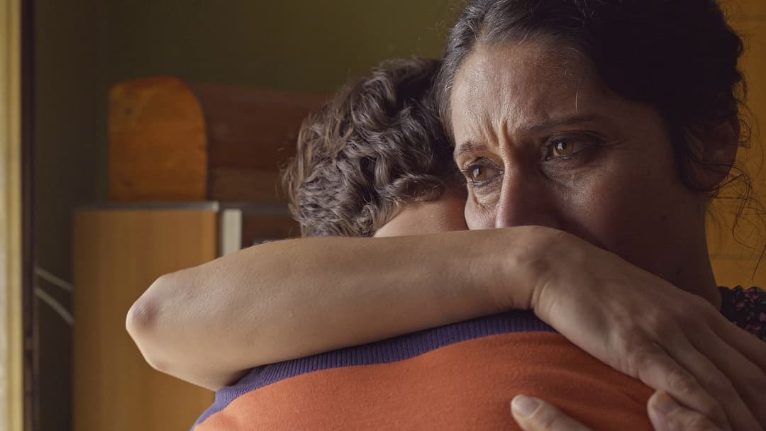 Fireworks backdrop 13