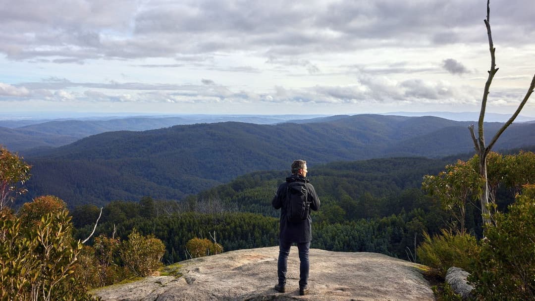 Force of Nature: The Dry 2 backdrop 9