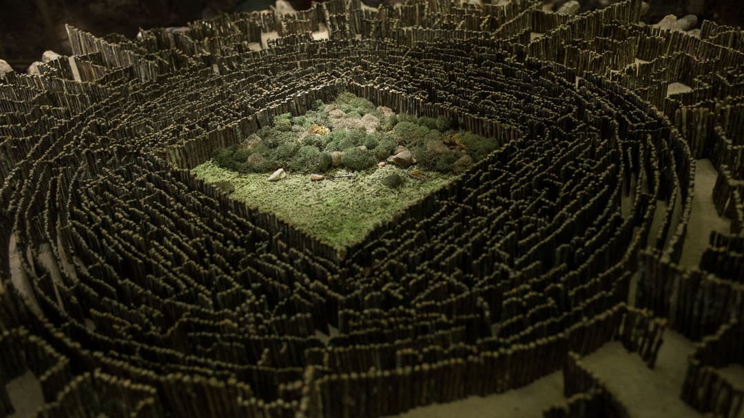 The Maze Runner backdrop 10