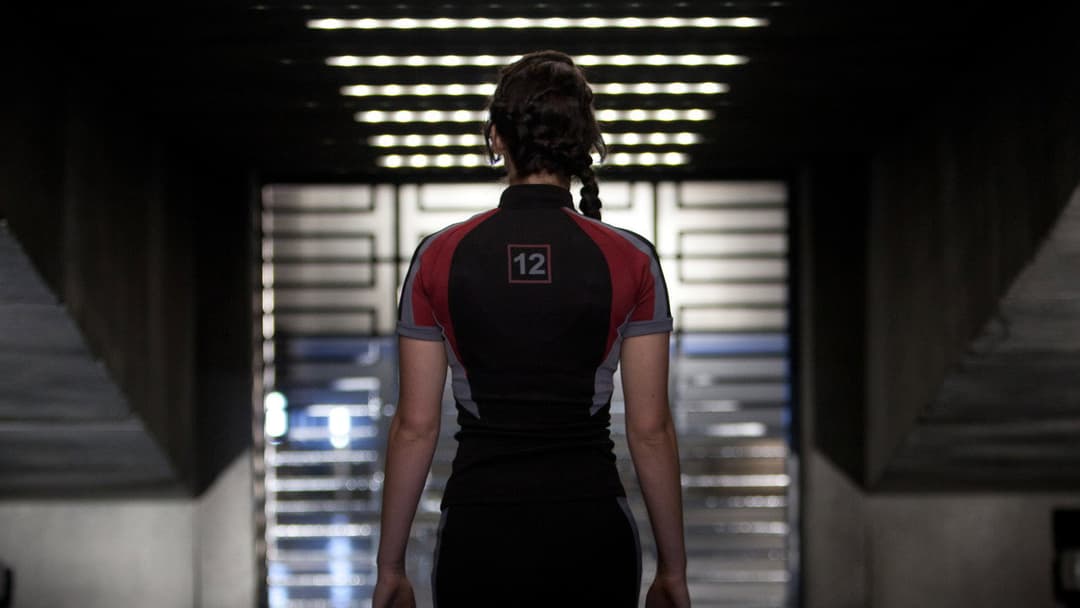 The Hunger Games backdrop 13