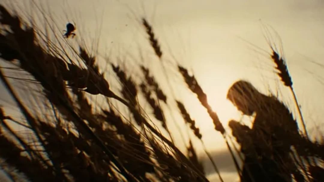 Die Ermordung des Jesse James durch den Feigling Robert Ford backdrop 7