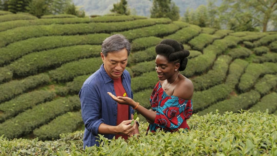 Black Tea backdrop 4