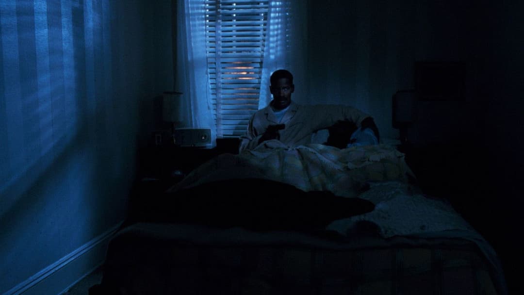 Malcolm X backdrop 18