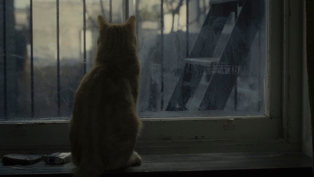 Всередині Л'юіна Девіса backdrop 12