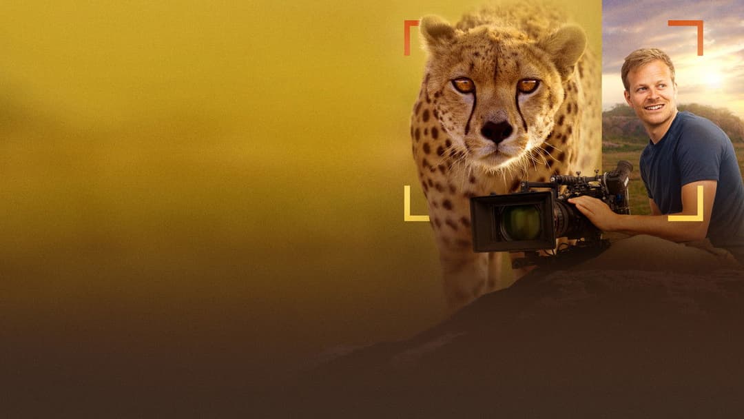 Cheetahs Up Close with Bertie Gregory backdrop 4