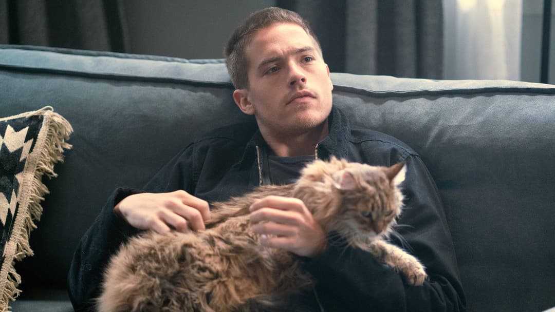 Beautiful Disaster backdrop 17