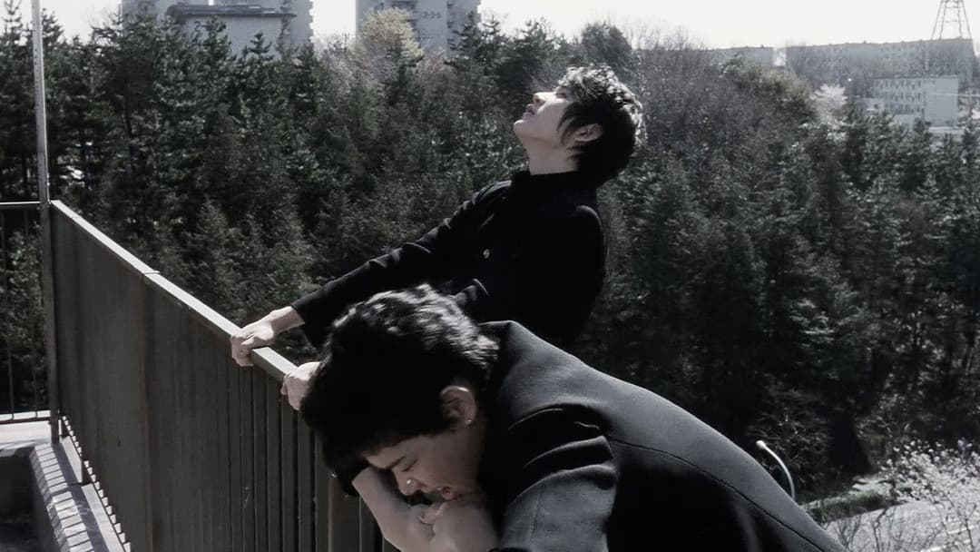 Blue Spring backdrop 6