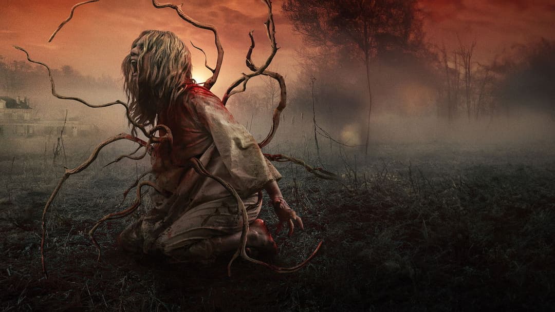 Eight for Silver backdrop 5