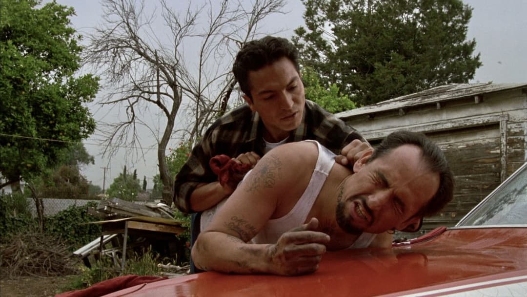 Blood In Blood Out - Verschworen auf Leben und Tod backdrop 18