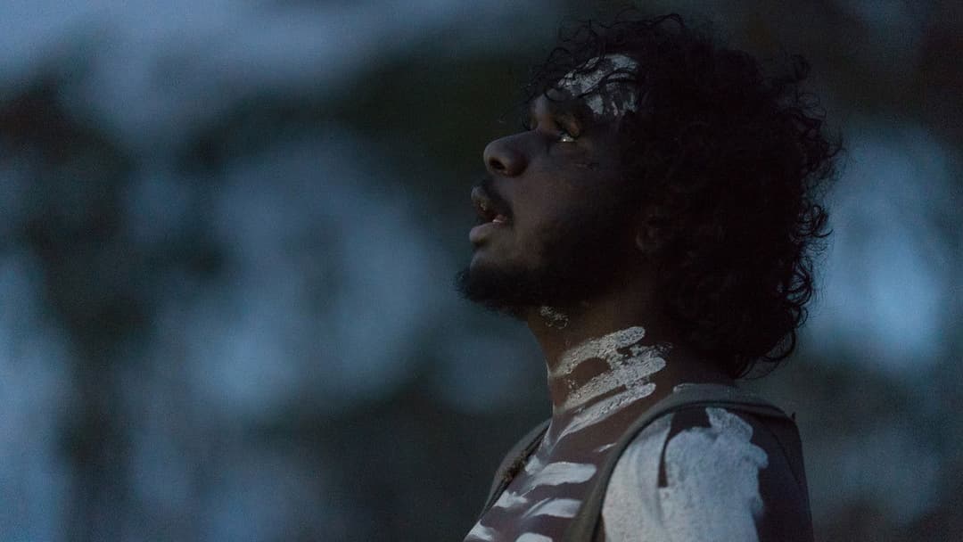 Соловей backdrop 13