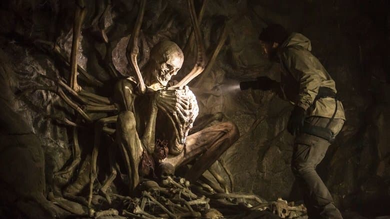 Investigation Mystery backdrop