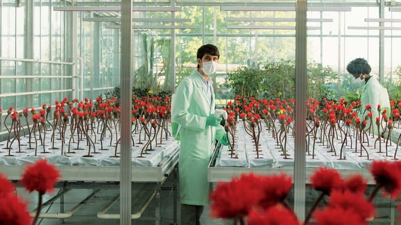 hoffnungsvoll Hintergrund