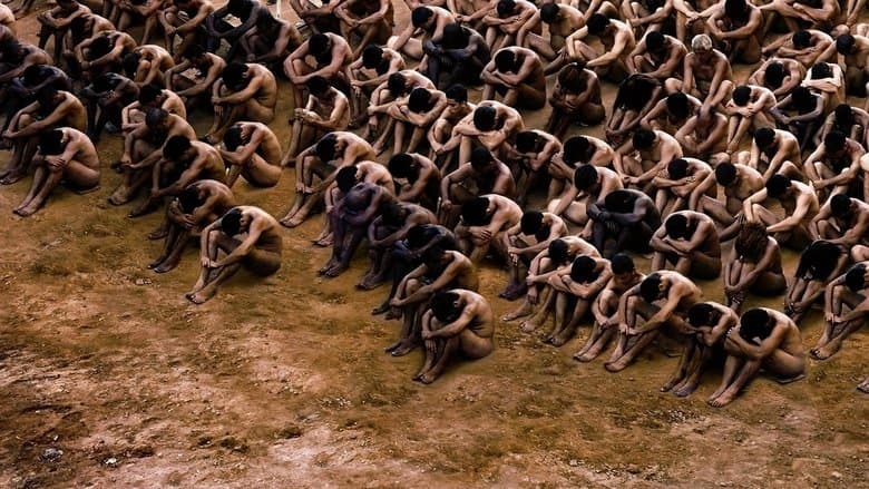 documentary-style backdrop