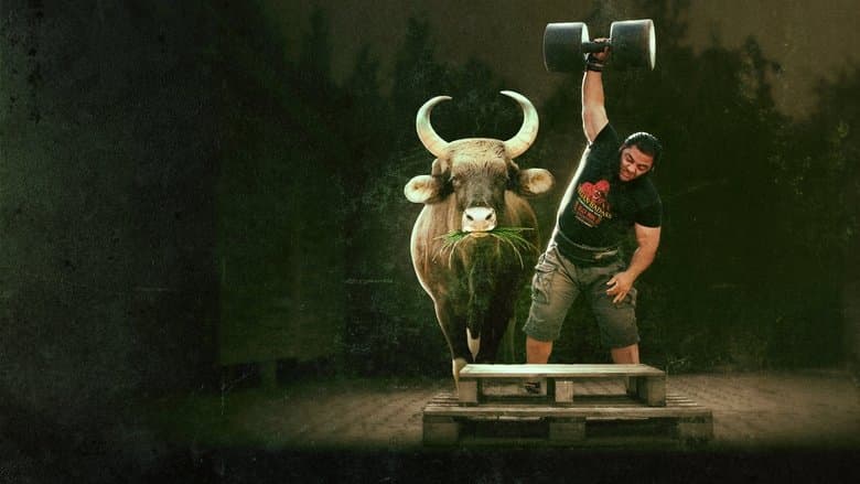 Sports Documentary backdrop